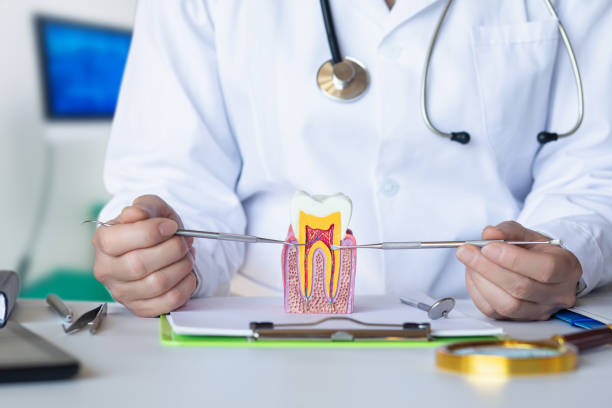 Best Emergency Dental Care for Broken or Chipped Teeth in Saticoy, CA